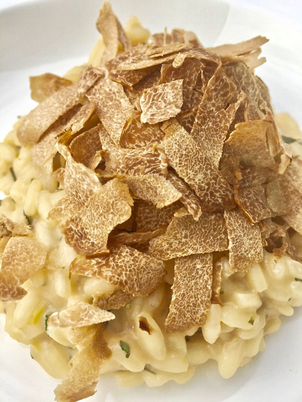 Risotto grana padano e tartufo bianco d'Alba
