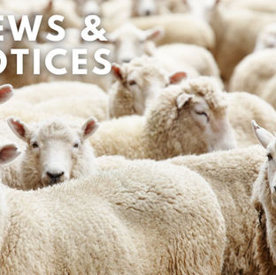 News & Notices 11th May 2025