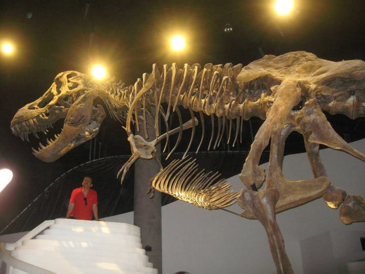 Educational Tour Packages