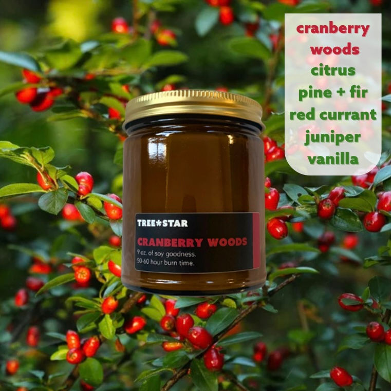 Thumbnail: Cranberry Woods Soy Candle