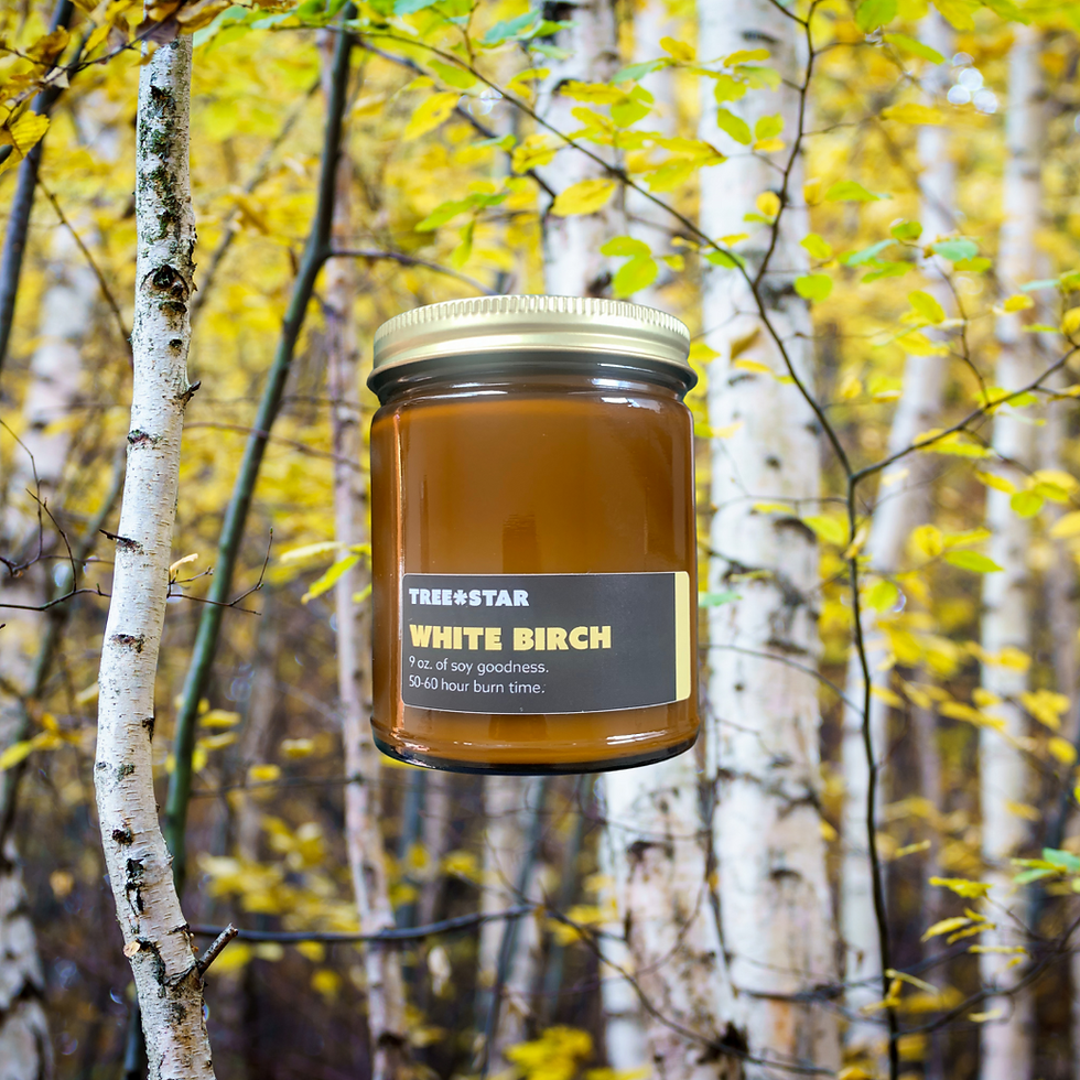 White Birch Soy Candle