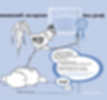 communication visuelle : mod desprès