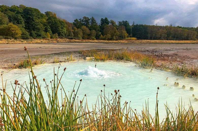 monumento naturale caldara di Manziana, acqua sulfurea che esce dal terreno, alberi e vegetazione intorno