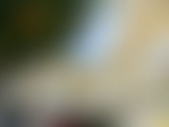 Week 4: Change is Permanent