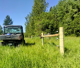 Commercial fence