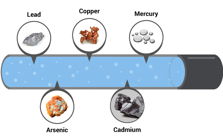 heavy-metals.webp