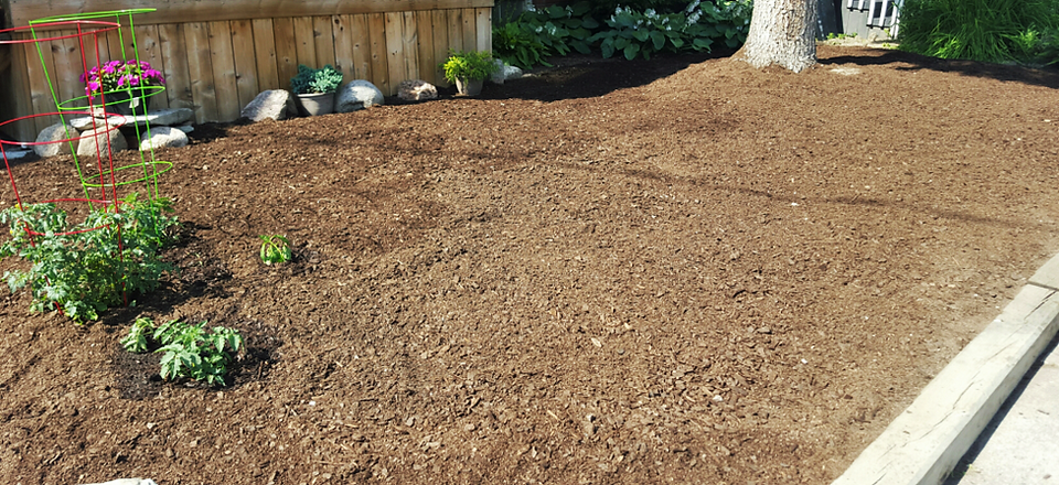 Mulch