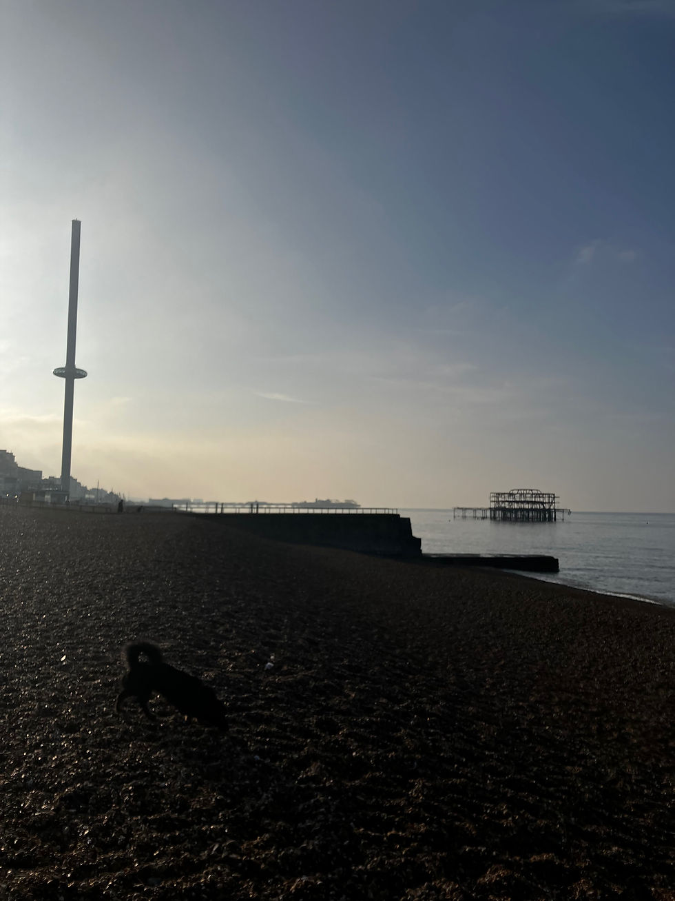i360 Brighton