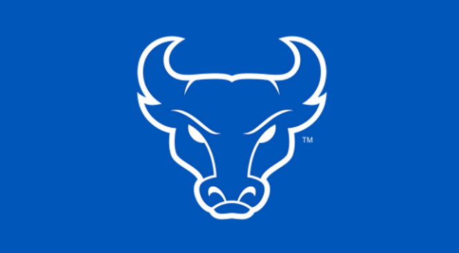 bullz.png