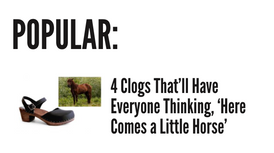 Clog popular.png