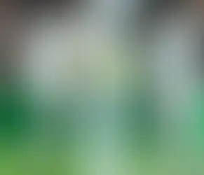 Real Madrid goleia Espanyol de virada com show de Vinícius Jr, Rodrygo e Endrick – Veja como foi a partida do Campeonato Espanho