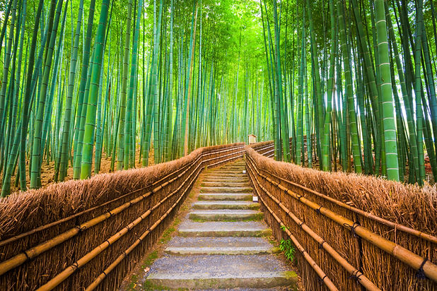 kyoto-japan-bamboo-forest-2021-08-26-18-13-10-utc-min.jpg