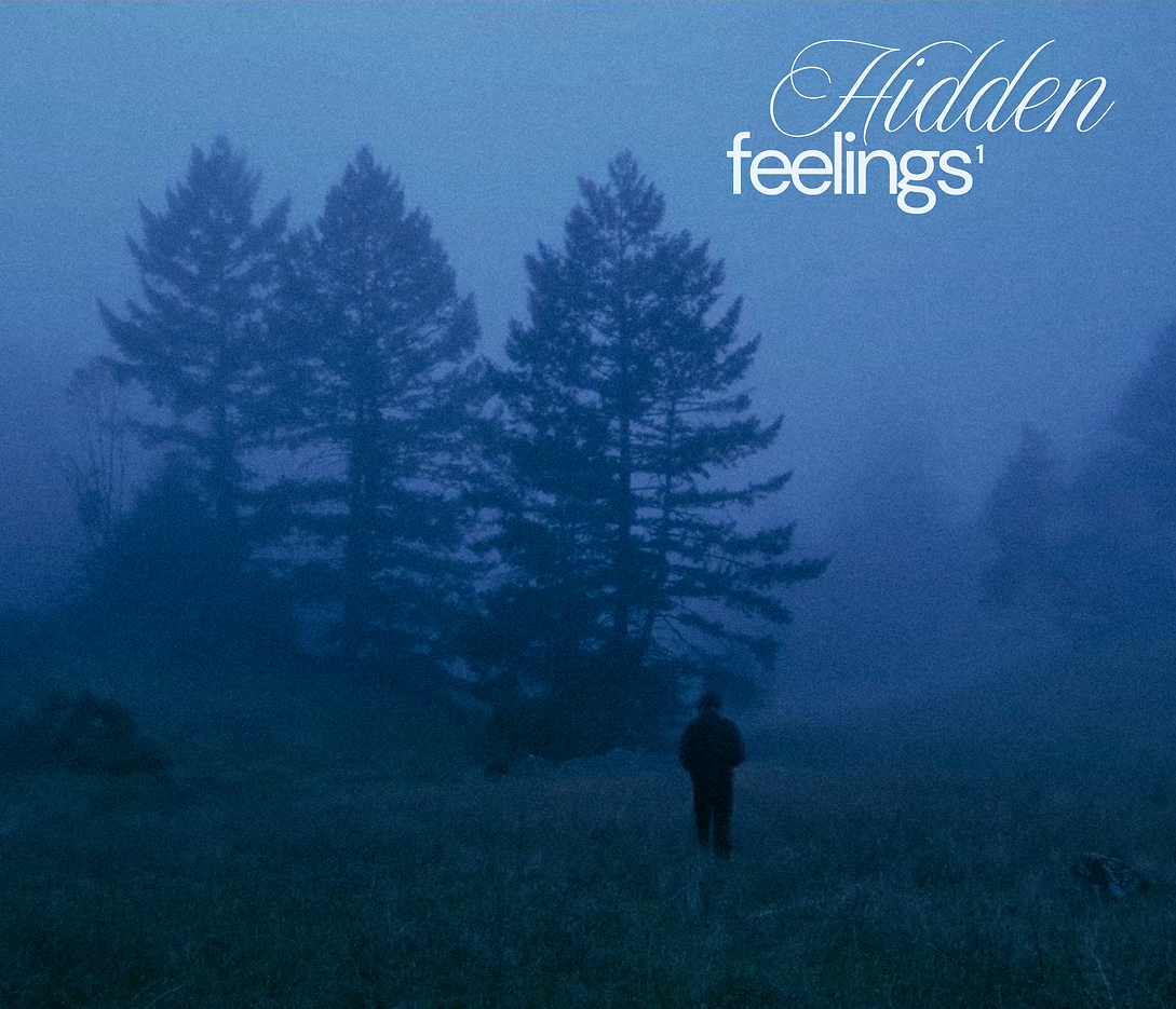 hiddenfeelings1 cover3000x3000.png