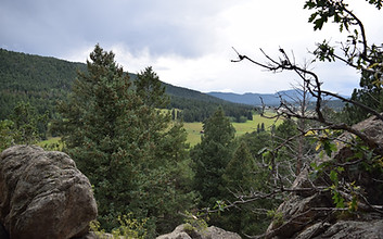 DSC_0121.JPG