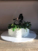celebrant canberra