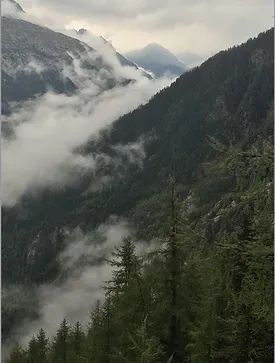 Dec 29, 2025 || Daily Thought & Prayer