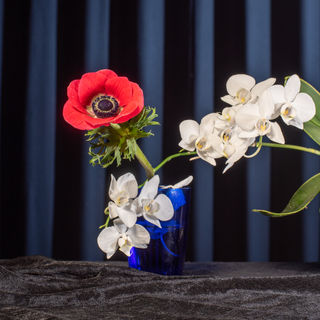 3. Kukkaneliö_DSC4015.jpg