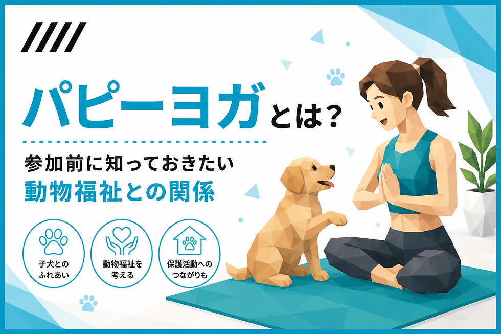 パピーヨガとは?動物福祉との関係を解説する記事のアイキャッチ。ローポリゴン風の女性と子犬がヨガを楽しむイラスト。