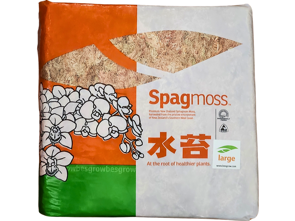 Thumbnail: Besgrow Spagmoss