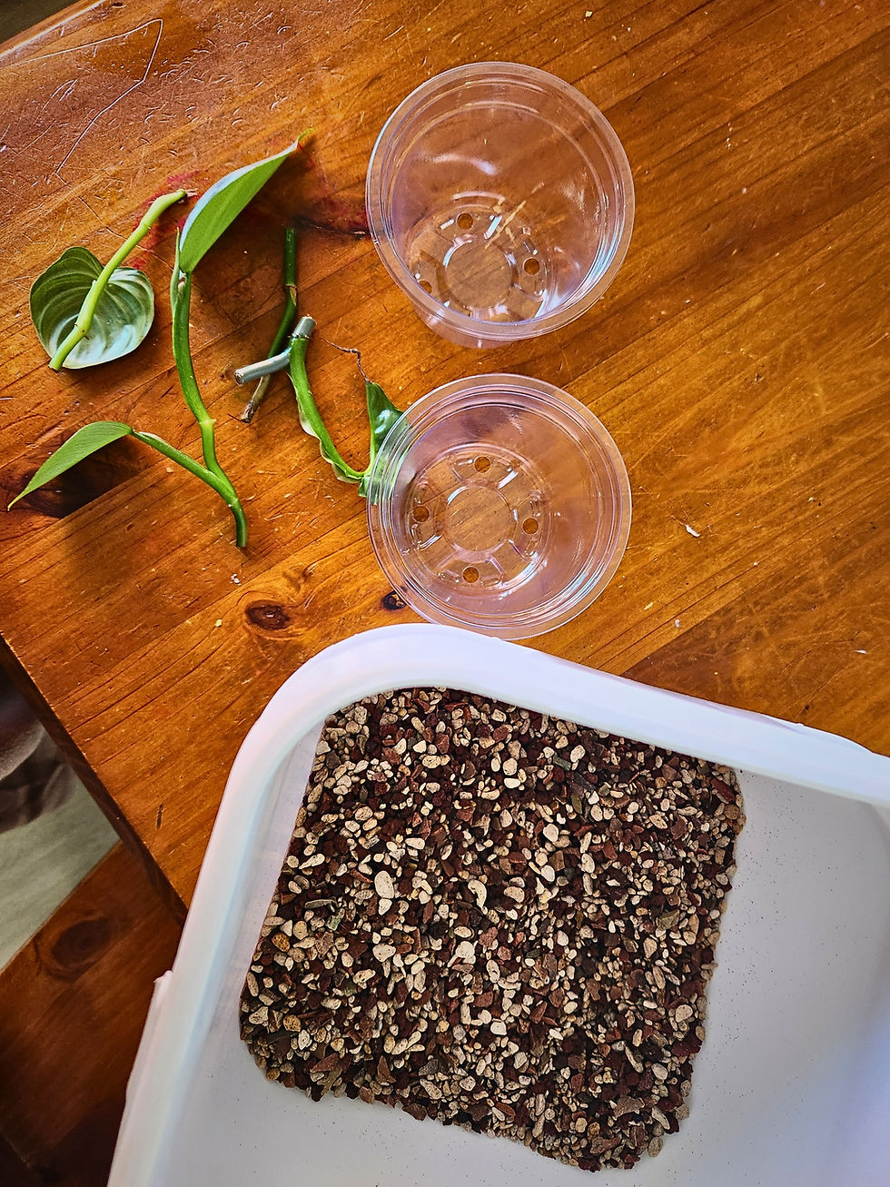 Thumbnail: Bio Leaf Bio Pon