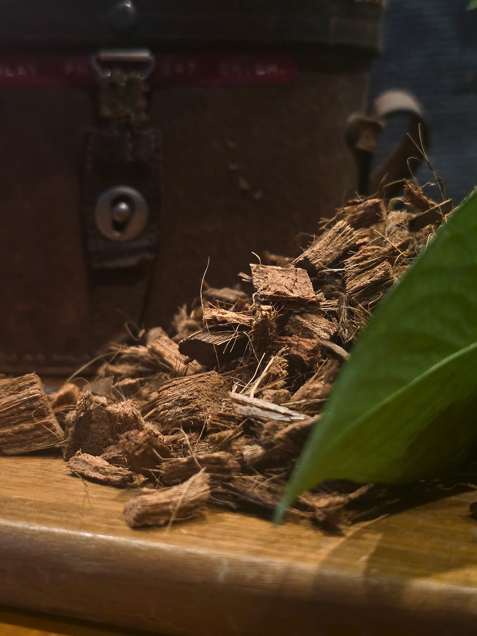 Thumbnail: Coco Coir Chip (Loose and Clean)