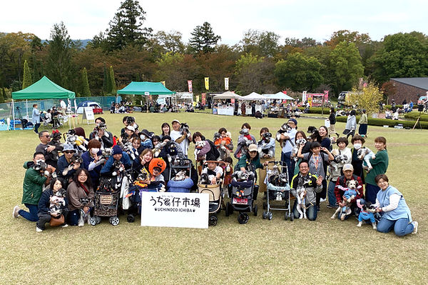 04-1シュナウザーIMG_3744.jpg