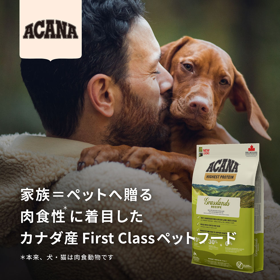acana_ECbanner_230216-01 - こいぬのおうち