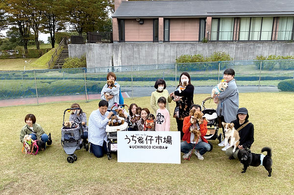03-0短足犬IMG_3693.jpg