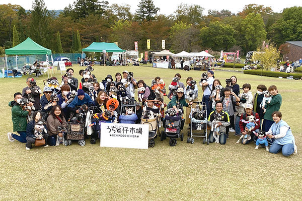 04-1シュナウザーIMG_3727.jpg