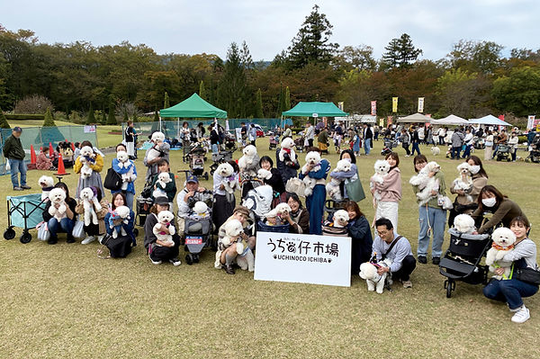 03-1ビションIMG_3721.jpg