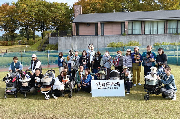 06-0鼻ぺちゃ犬IMG_3805.jpg