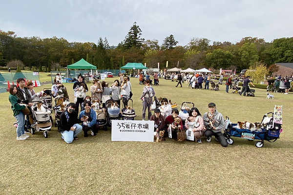 05-1パピヨンIMG_3783.jpg