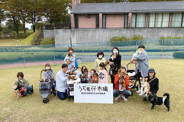 03-0短足犬IMG_3694.jpg
