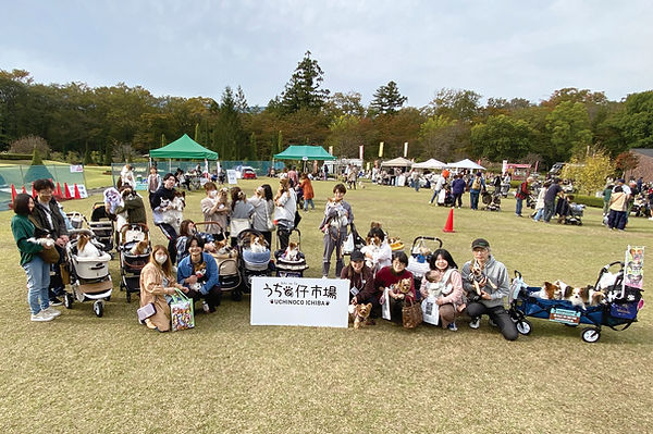 05-1パピヨンIMG_3777.jpg