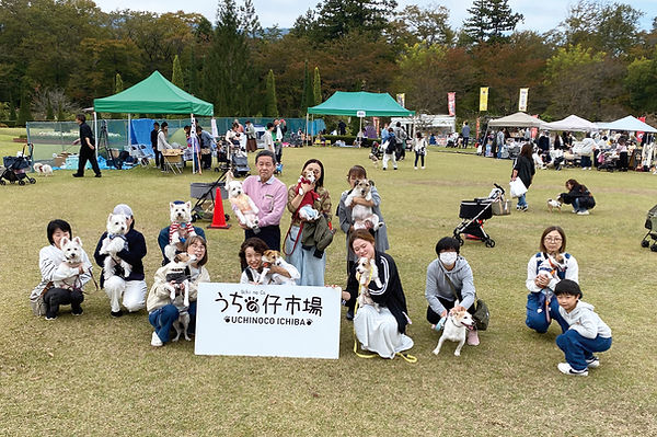 02-1テリア&スパニエルIMG_3671.jpg