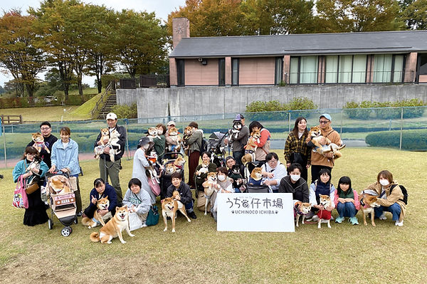 02-0柴犬IMG_3661.jpg