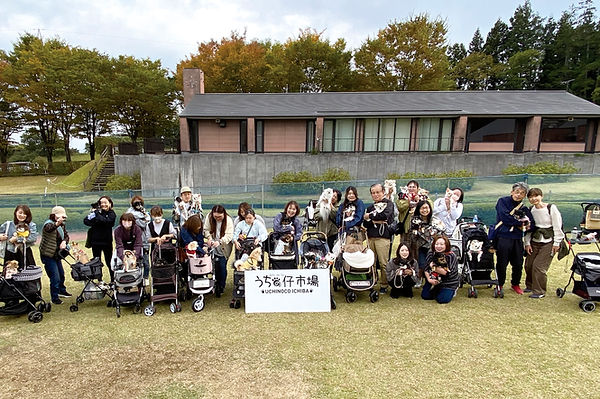 05-0チワワIMG_3790.jpg