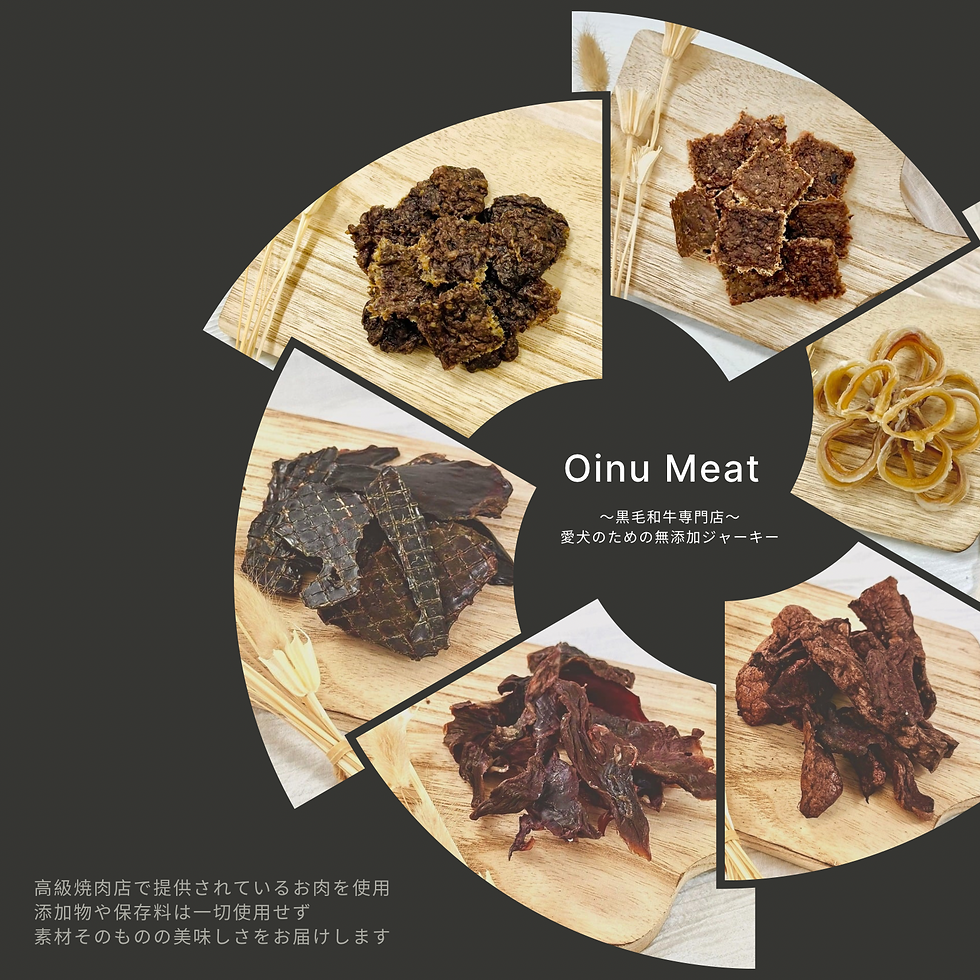 Oinu 紹介画 (500 x 500 px) - ちひろ
