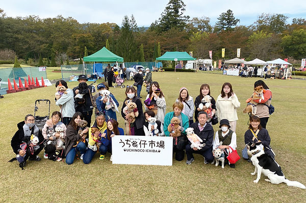 01-1MIX犬IMG_3631.jpg