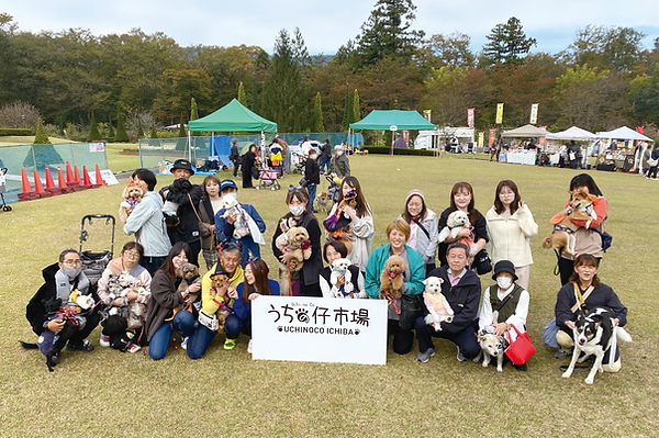 01-1MIX犬IMG_3638.jpg