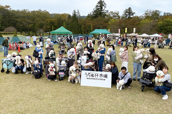 03-1ビションIMG_3715.jpg
