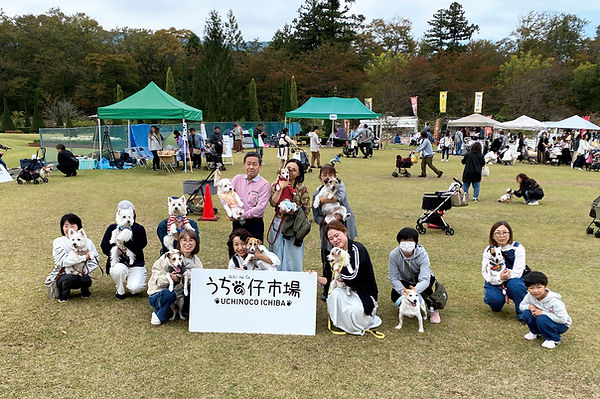 02-1テリア&スパニエルIMG_3679.jpg