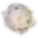 Cookie Dough image