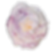 Blueberry Cheesecake image