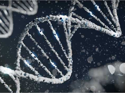 Genetic Privacy Legislation in Canada - Intervention and Protection