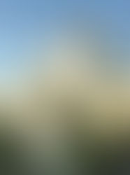 Малый Дворец - Елисейские Поля