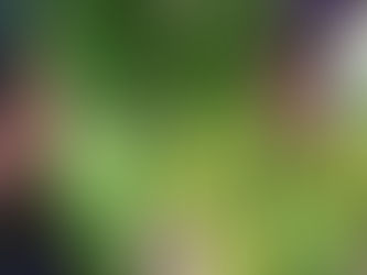 Фиолетовый день в замке Славы Полунина