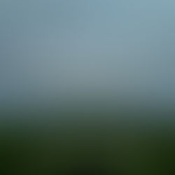 Hey Jacque Frost, it's Springtime now. . .