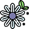 chamomile.png