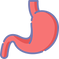 stomach.png